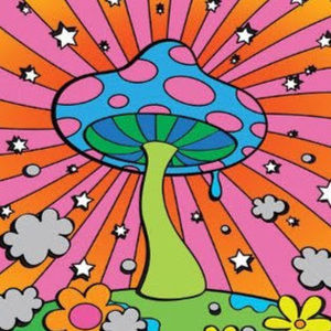 Meet your Posher, Elke